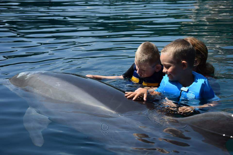 FB IMG 1437026951212
